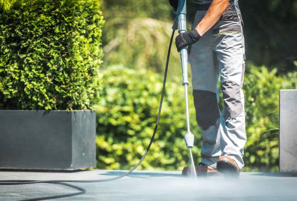 Animal Enclosure Cleaning in Fort Irwin, CA