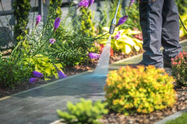 Best Patio and Deck Pressure Washing  in Fort Irwin, CA