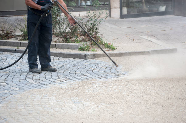 Best Animal Enclosure Cleaning  in Fort Irwin, CA