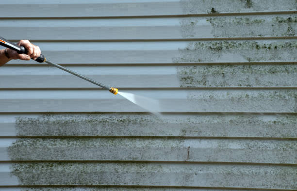 Best Driveway Pressure Washing  in Fort Irwin, CA